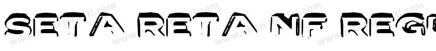 Seta Reta NF Regular字体转换